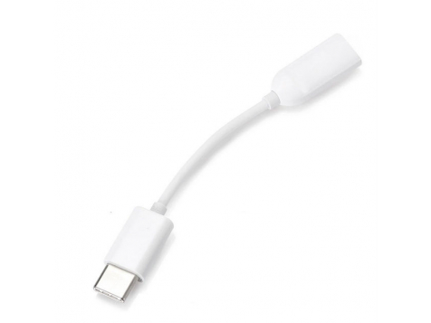 Переходник Xiaomi SJV4091TY Type-C на Mini Jack 3.5mm (Белый) фото 3